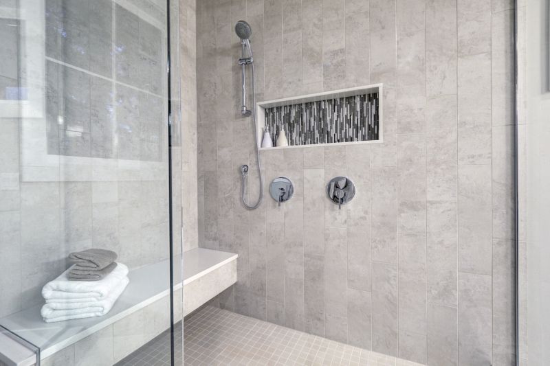 Sleek Shower with Built-In Shelves